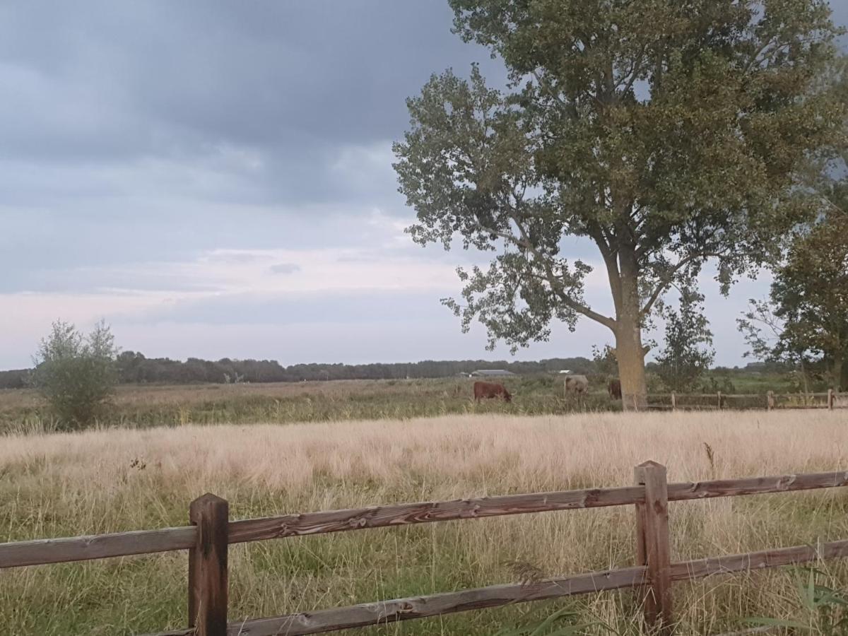 Cottage Geestmerambacht, Een Nieuw Vrijstaande Sfeervol En Landelijk Gelegen Vakantiewoning Koedijk Exterior photo